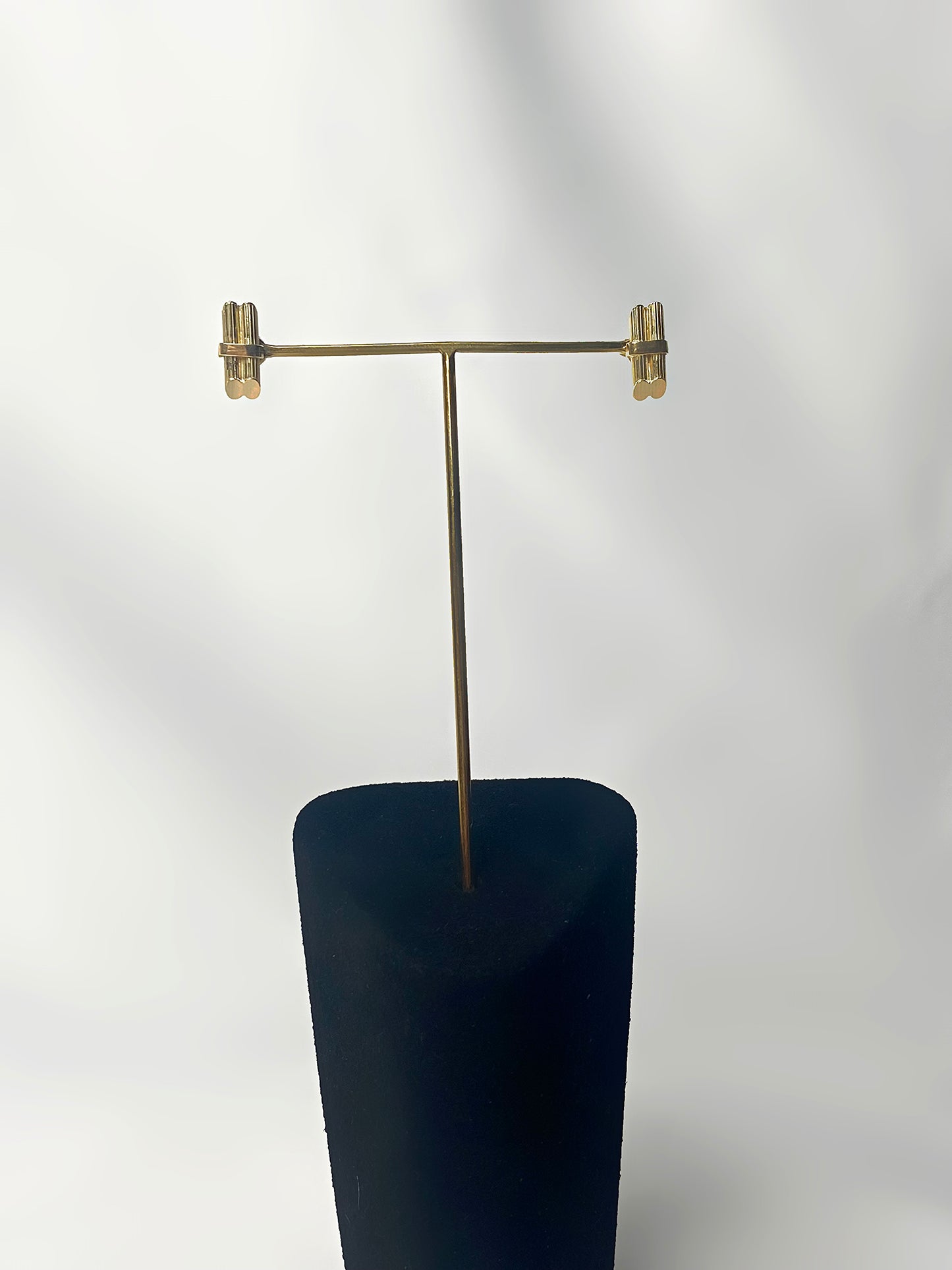 Canne à sucre