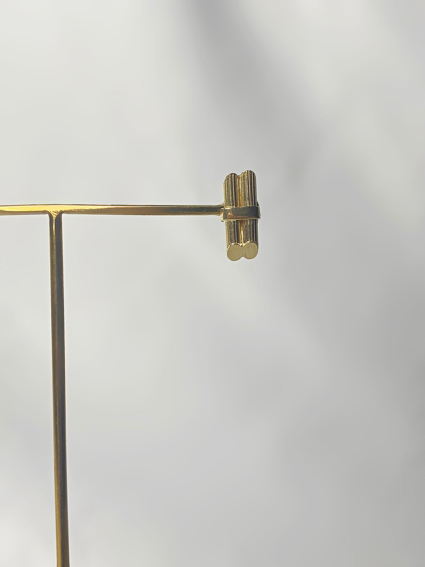Canne à sucre