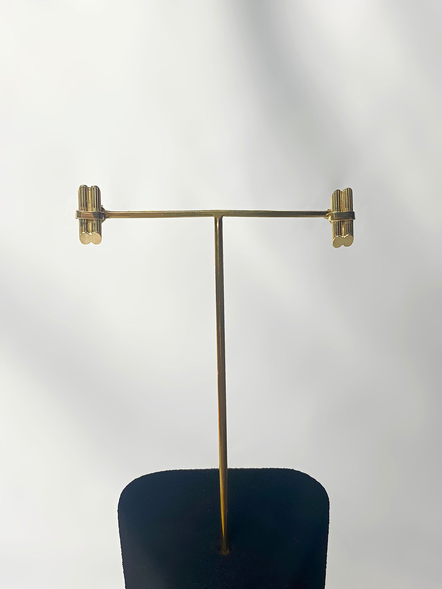 Canne à sucre